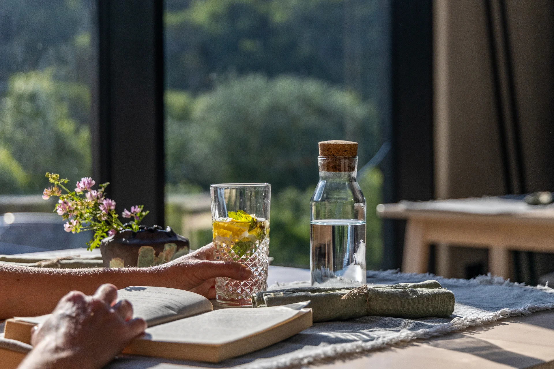 Moment de relaxare în bungalou, cu carte și apă infuzată lângă fereastră