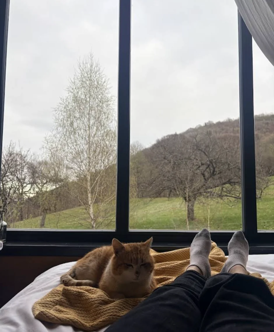 Moment trăit de un cuplu în Portal Village